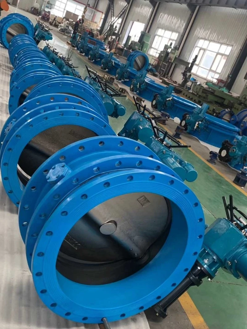 Expansion Joint Concentric Butterfly Valve